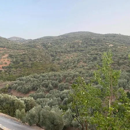 Affittacamere Guesthousekamara