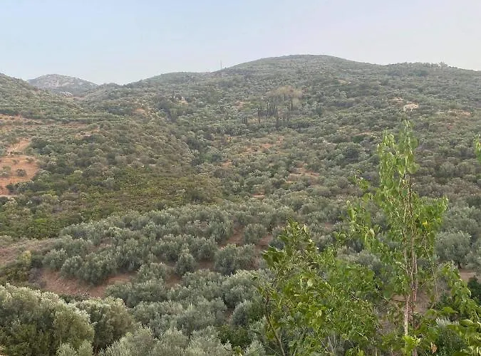 بيت ضيافة Guesthousekamara